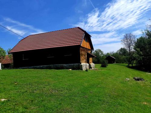 Bakina iža