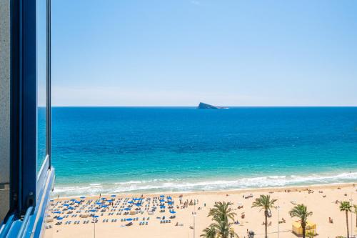 Acintur 11-A - image 10