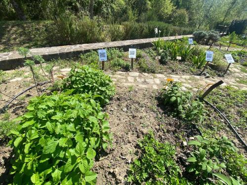 Apkārtne, Green House Oasi Fiume Alento in Prignano Cilento