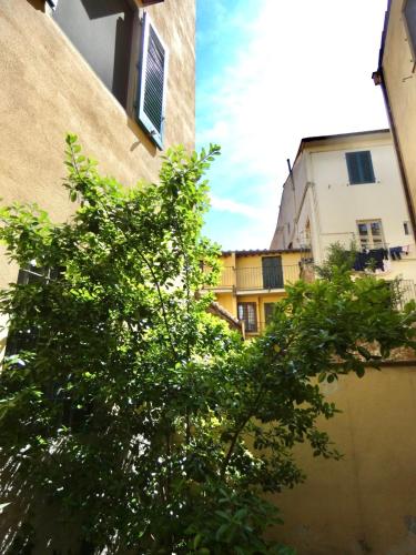 Maila Apartments 25min from Florence