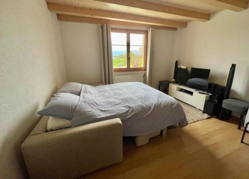 Appartement Claude in Les Diablerets