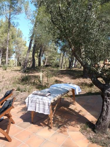 Gîte de charme en pleine forêt - Mas Sarava