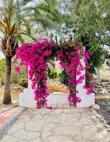 Mojacar farmhouse apartments with pool