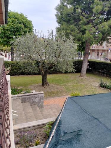 Affittacamere Villa Sofia con uso cucina e ampio giardino in Saltara