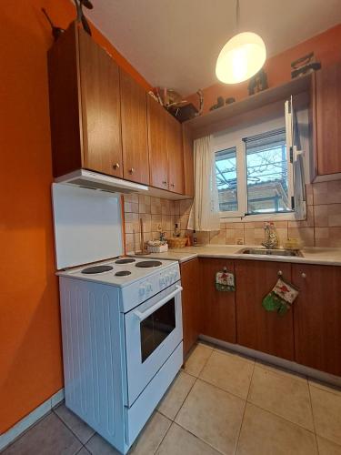 Konyha, Rivers' house Tzoumerka in Vourgareli