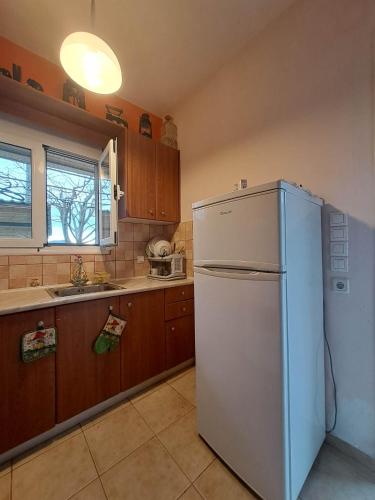 Konyha, Rivers' house Tzoumerka in Vourgareli