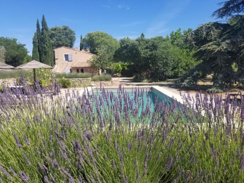 B&B Pertuis - Domaine du Coffre - Bed and Breakfast Pertuis