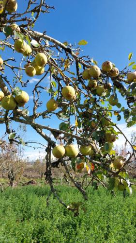 Навколишнє середовище, Casa de campo Pillaro - Activa in Pillaro