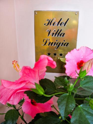 Hotel Villa Luigia - image 13