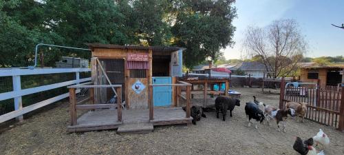 Rustic, country farmstay with friendly animals close to wineries and hiking