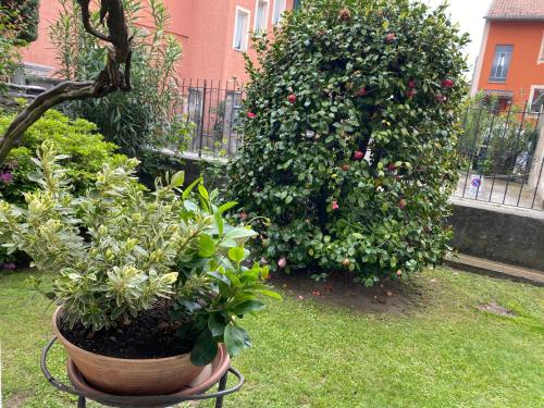 Verdelago, Cannobio (photo 5)
