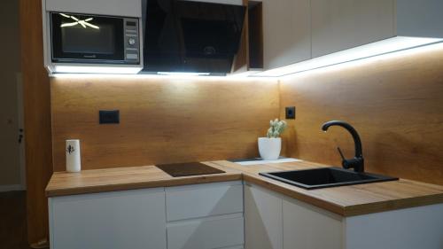Daily Rent Studio Apartments, Tirana (photo 7)