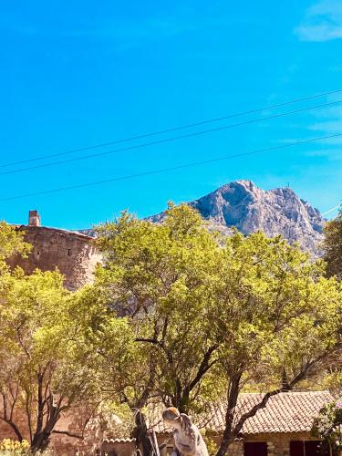 Mas Provençal au pied de la sainte Victoire à 8 k d'Aix en provence