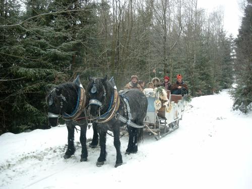 Schönblick 36, Schöfweg (fotografie 2)
