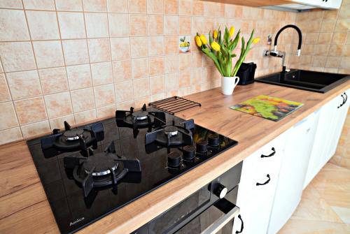 Apartament z tarasem i pokoje KLIMATYZOWANE -Drozdówka Solina, Solina (fotografie 7)