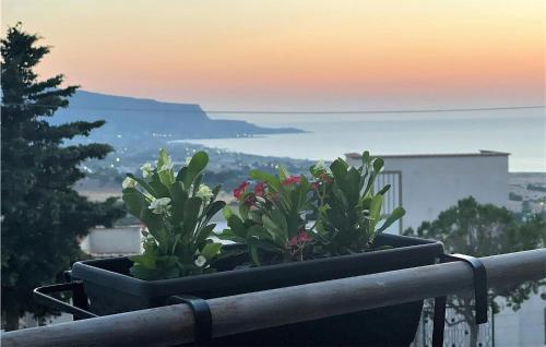 Nice Apartment In Custonaci With Wifi And 1 Bedrooms