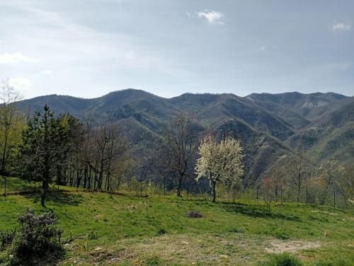 Az Rocca Corneta in 塞尼奧河畔帕拉佐洛