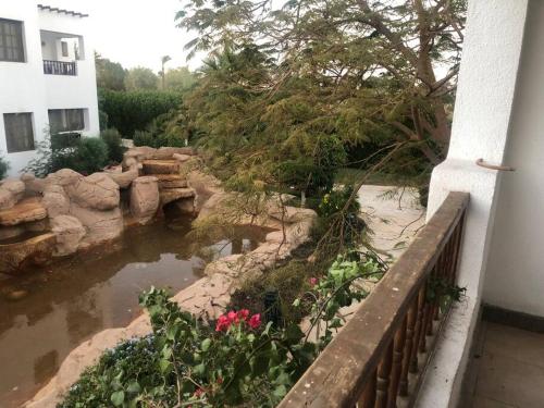 Delta Sharm Symphony