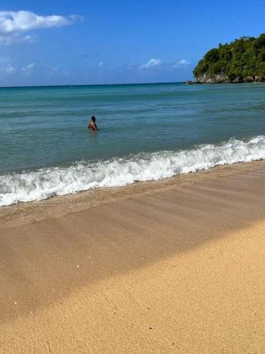 Mango tree Oasis in Treasure Beach