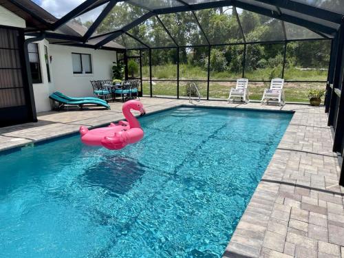 Beautiful Spring Hill Retreat with LARGE Pool and LARGE yard!