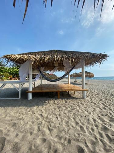 沙滩, 莫奈俱乐部海滨度假村-由可可特尔管理 (Club Monet Beachfront Resort by Cocotel) in 卡班甘