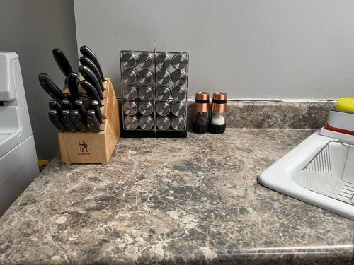Bright, big family escape, W/parking, dogs welcome in Oak Park