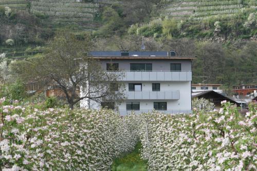 Waalhof Ferienwohnung Sonnenblume