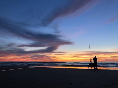 De Duinlopers - Studio appt Bries - Duinen, strand en nabij cultuur steden