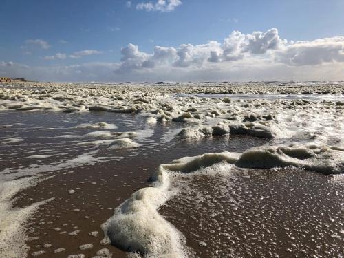 De Duinlopers - Studio appt Bries - Duinen, strand en nabij cultuur steden