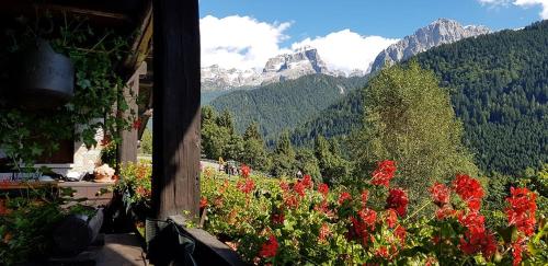 Trilocale Maso Palù - Serafini Trilocale Maso Palù - Serafini