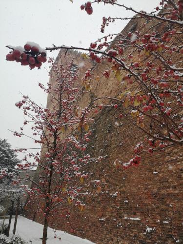 Rocca di Arignano