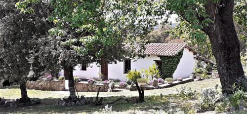  B&B I Menhir, Unterkunft in Sorgono
