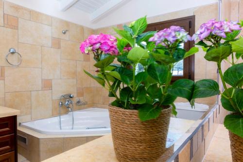 Solaris Methea- Luxury Central Villa by the Castle