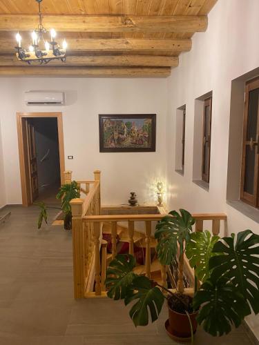 Iekārtas, Hotel Kaso Ervehe in Permeta