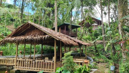 Rimba eco Resort