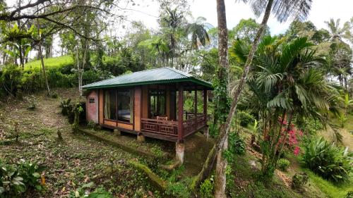 Rimba eco Resort