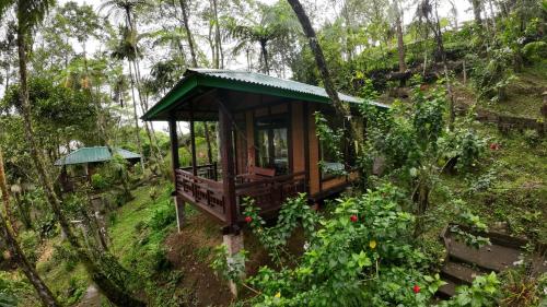 Rimba eco Resort