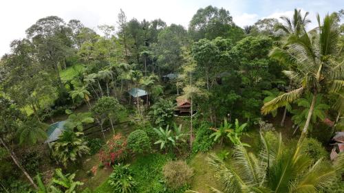 Rimba eco Resort