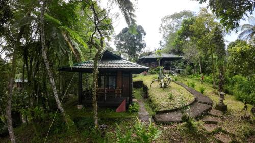 Rimba eco Resort