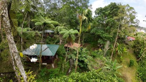 Rimba eco Resort