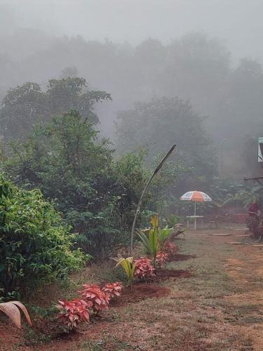 Homestay, Woodnote Eco Resort photo