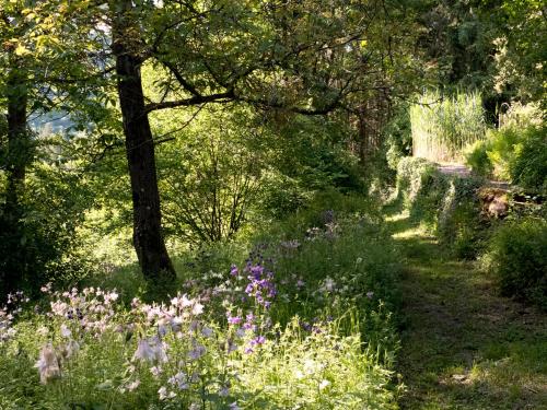 Waldhaus 'Photographie' im Ruwertal, Trier