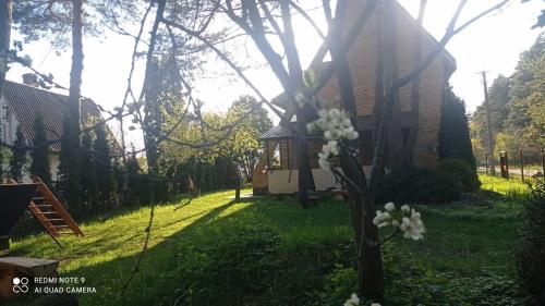 trädgård, Садиба Живиця in Kozlyn