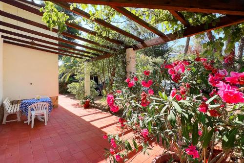 Villa Ai Pini a Punta Perla - Goelba - image 4