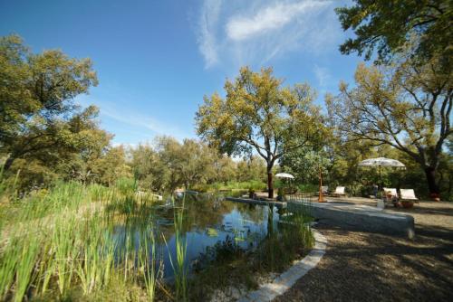 Valle del Arroyo Casas Rurales - B&B - image 14