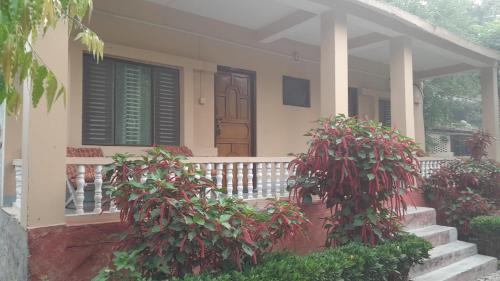 Crocodile Safari Camp in Chitwan