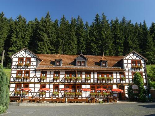外部景觀, 蘭德豪斯馬霍爾德旅館 (Pension Landhaus Machold) in 弗里德里希羅達