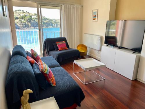 Splendide appartement avec vue sur mer et clocher - Parking et WIFI - Location saisonnière - Collioure