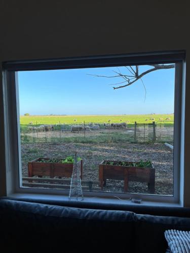 Lamb’s Inn in 布雷達斯多普