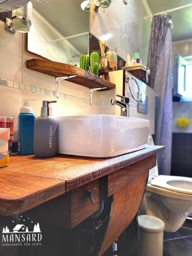 Mansard underneath the stars in 茲拉托格勒